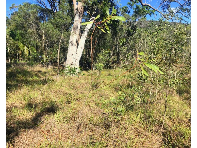 317 Streeter Drive, Agnes Water QLD 4677