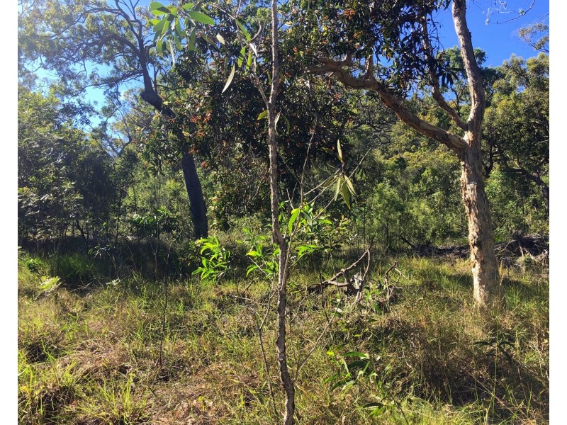 317 Streeter Drive, Agnes Water QLD 4677