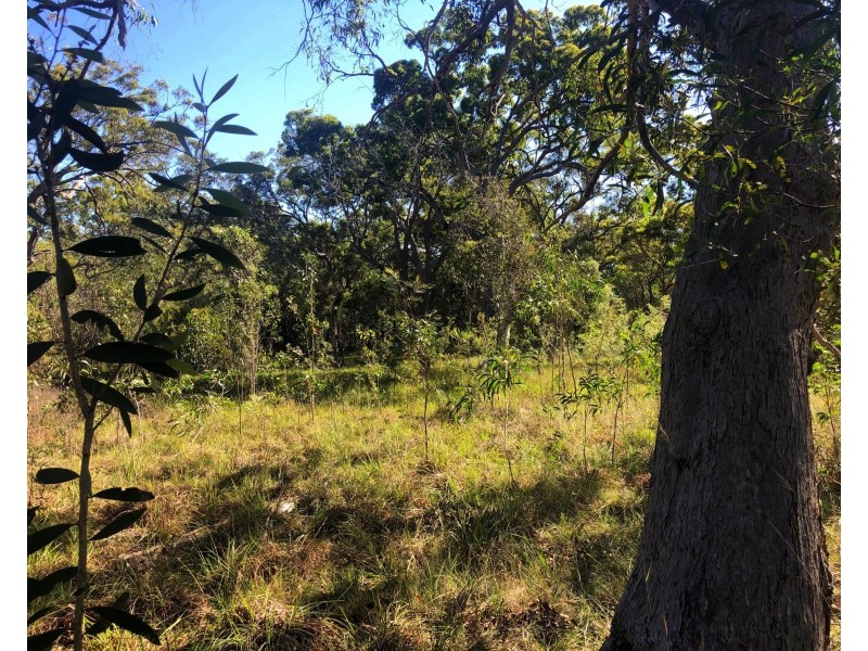 317 Streeter Drive, Agnes Water QLD 4677