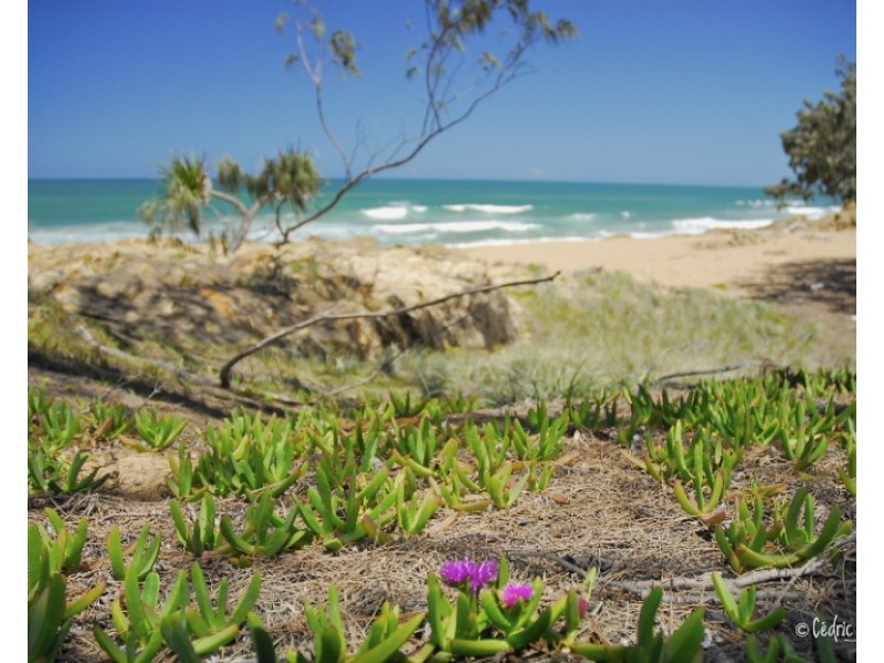 Agnes Water QLD 4677