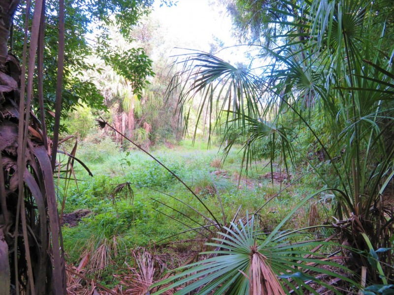 3597 Lowmead Road, Lowmead QLD 4676