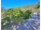 59 Bills Road, Agnes Water QLD 4677
