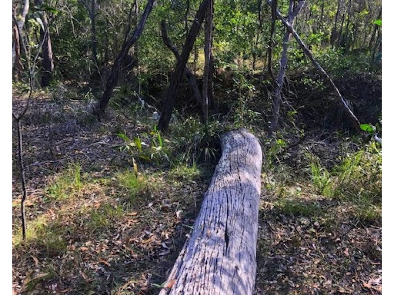 114 Bills Road, Agnes Water QLD 4677