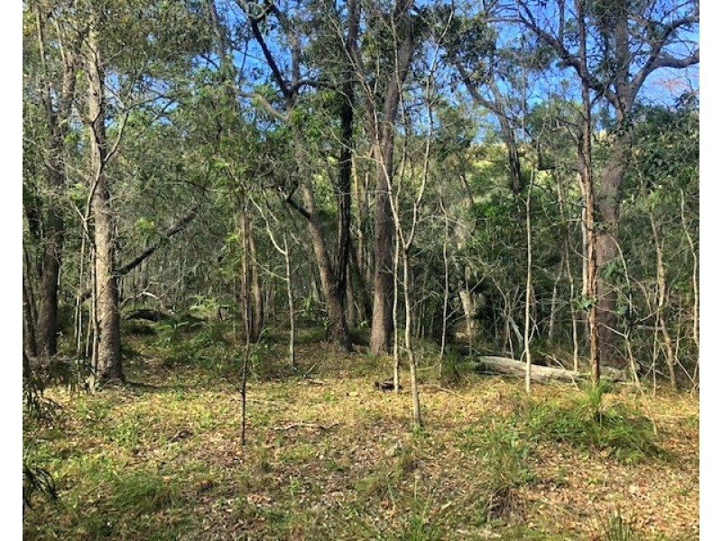 114 Bills Road, Agnes Water QLD 4677