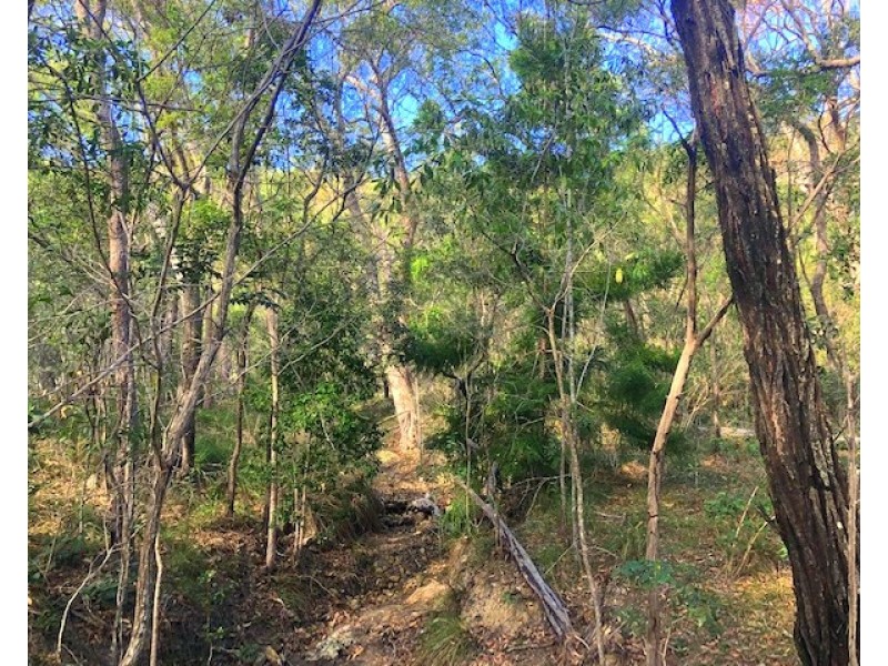 114 Bills Road, Agnes Water QLD 4677