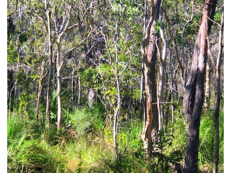 114 Bills Road, Agnes Water QLD 4677