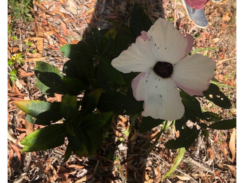 114 Bills Road, Agnes Water QLD 4677