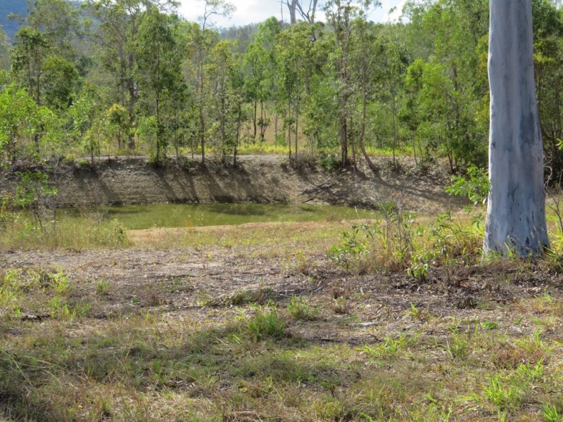 1368 Fingerboard Road, Mount Tom QLD 4677