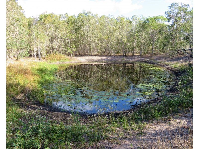 1366 Fingerboard Road, Mount Tom QLD 4677