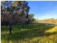 19 Jakeman Drive, Agnes Water QLD 4677