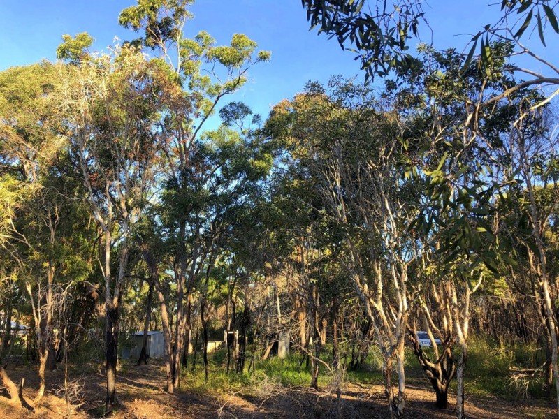 19 Jakeman Drive, Agnes Water QLD 4677