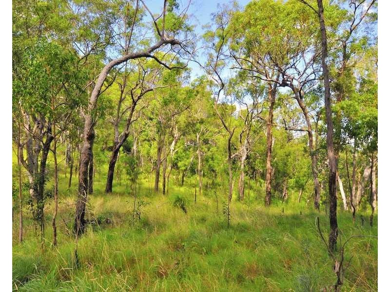 Captain Creek QLD 4677