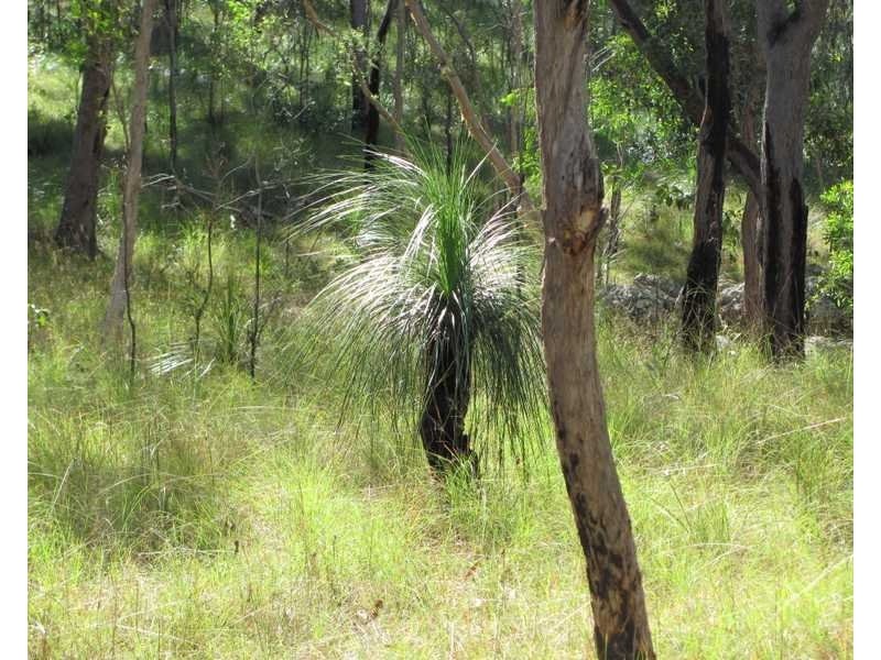 Captain Creek QLD 4677
