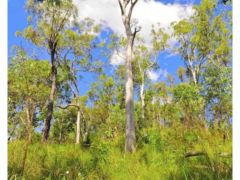 Captain Creek QLD 4677