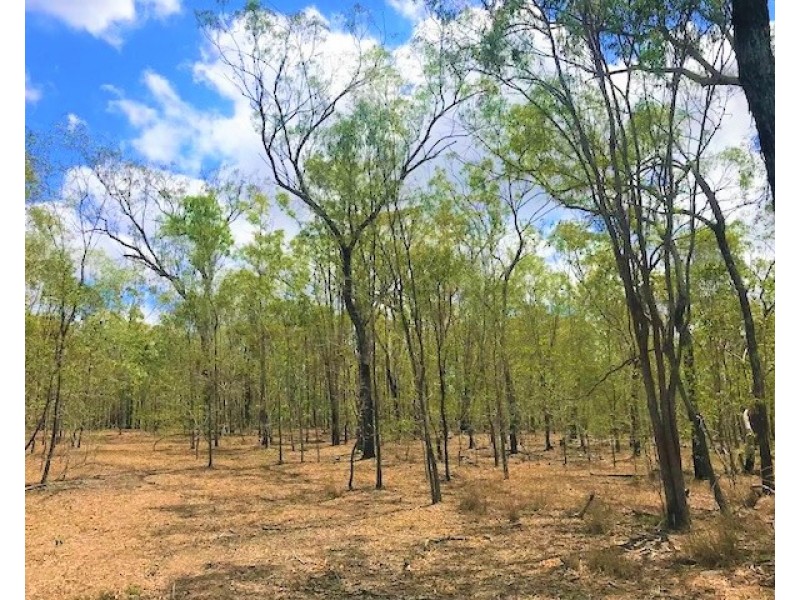 Captain Creek QLD 4677