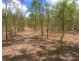 Captain Creek QLD 4677