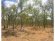 Captain Creek QLD 4677
