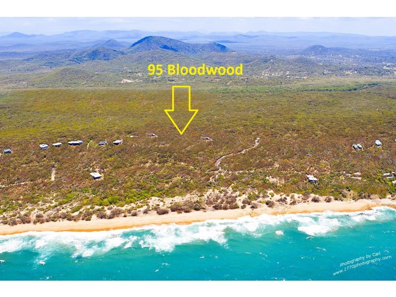95 Bloodwood Avenue, Agnes Water QLD 4677