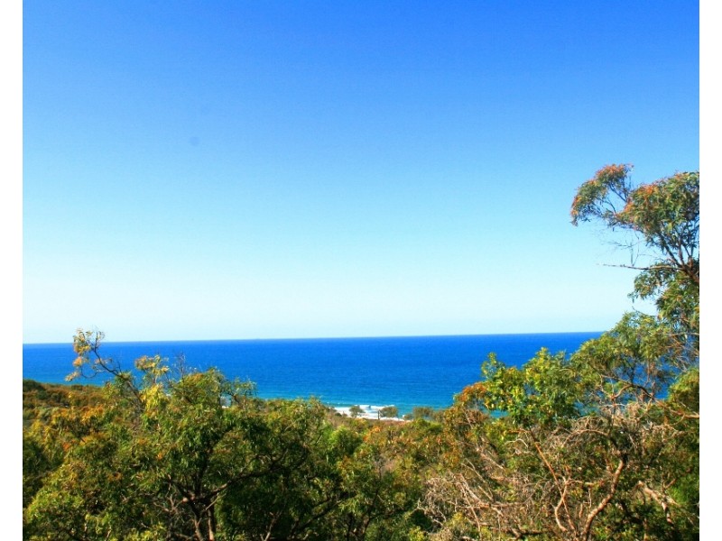 95 Bloodwood Avenue, Agnes Water QLD 4677