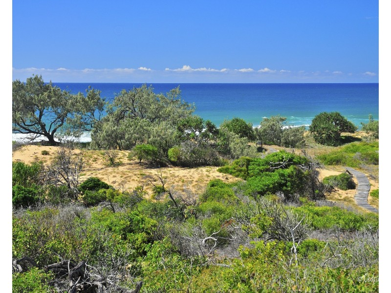 95 Bloodwood Avenue, Agnes Water QLD 4677