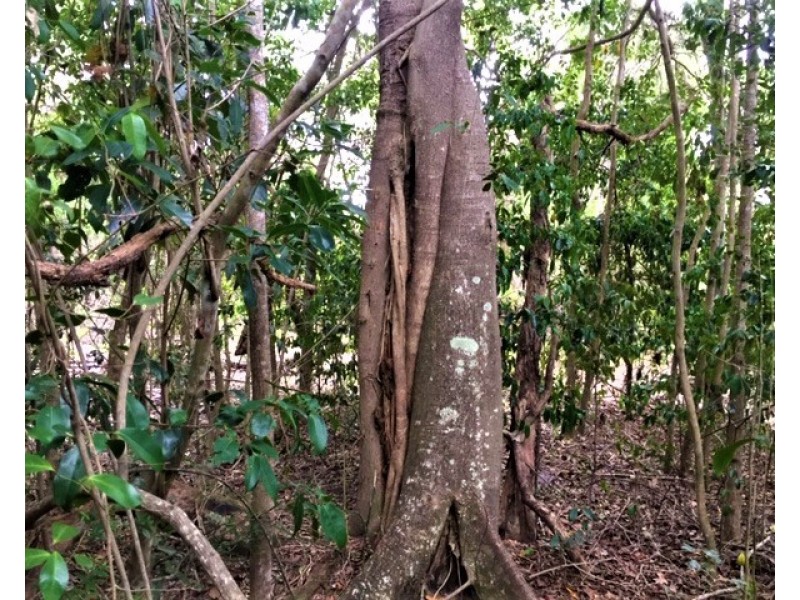 Lot 302 Masthead Drive, Agnes Water QLD 4677