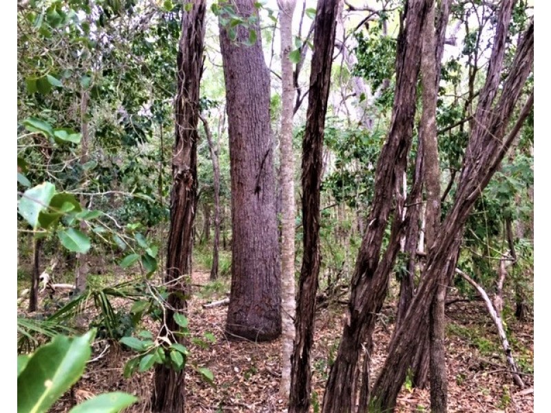 Lot 302 Masthead Drive, Agnes Water QLD 4677