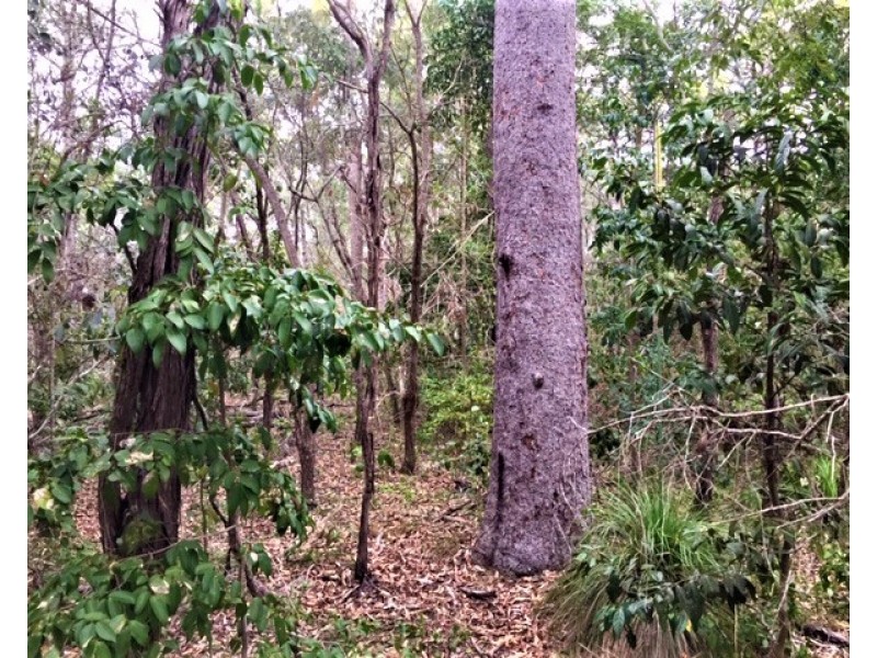 Lot 302 Masthead Drive, Agnes Water QLD 4677