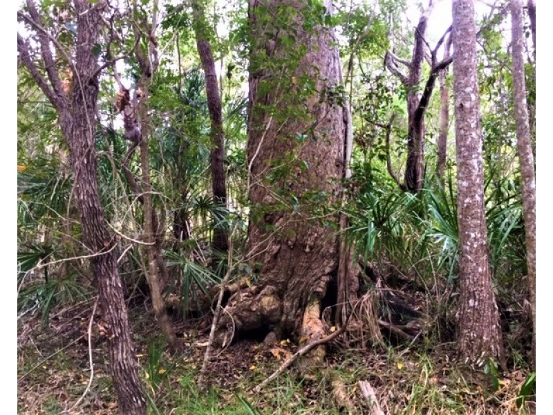 Lot 302 Masthead Drive, Agnes Water QLD 4677