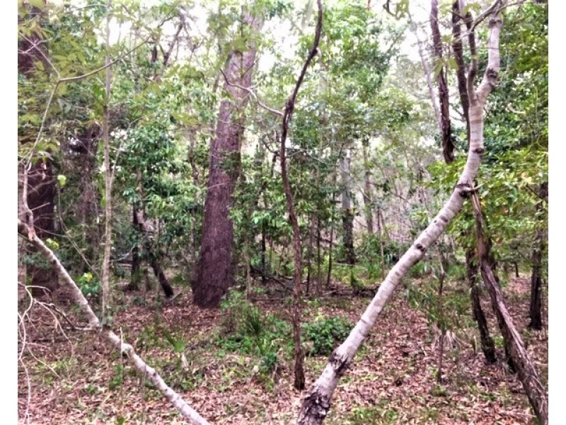 Lot 302 Masthead Drive, Agnes Water QLD 4677