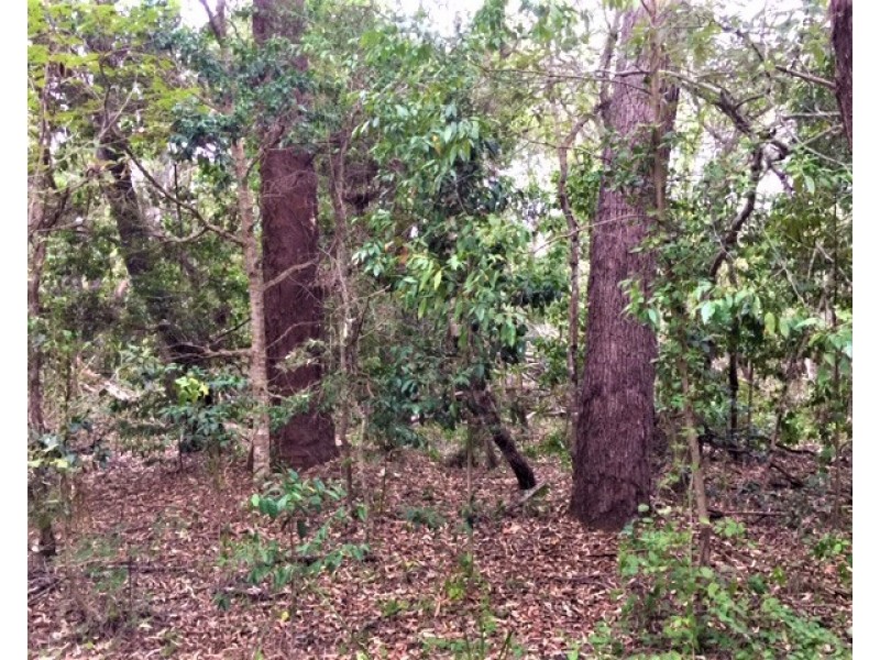 Lot 302 Masthead Drive, Agnes Water QLD 4677