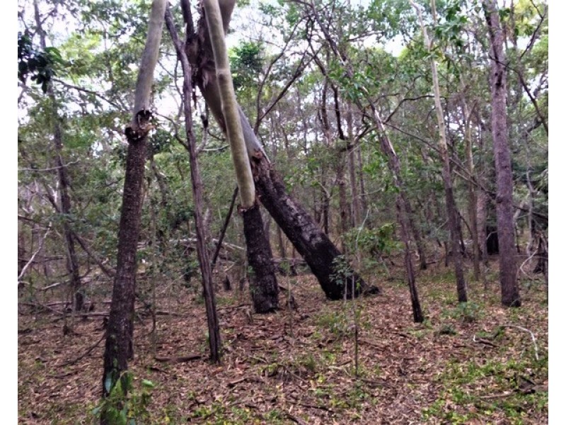 Lot 302 Masthead Drive, Agnes Water QLD 4677