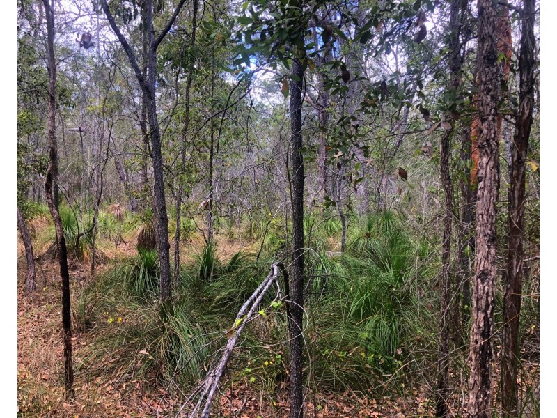 176 Davies Road, Captain Creek QLD 4677