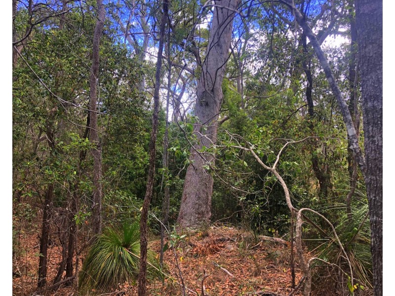 176 Davies Road, Captain Creek QLD 4677