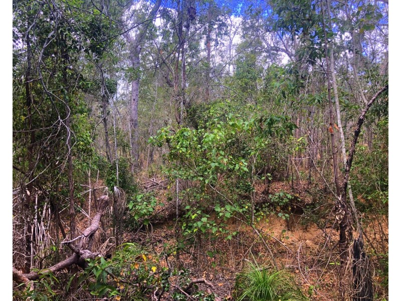 176 Davies Road, Captain Creek QLD 4677