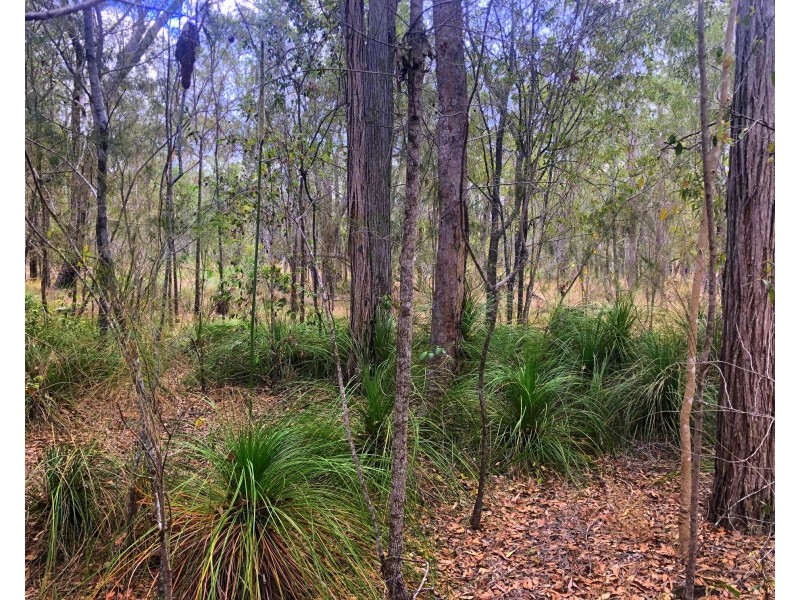 176 Davies Road, Captain Creek QLD 4677