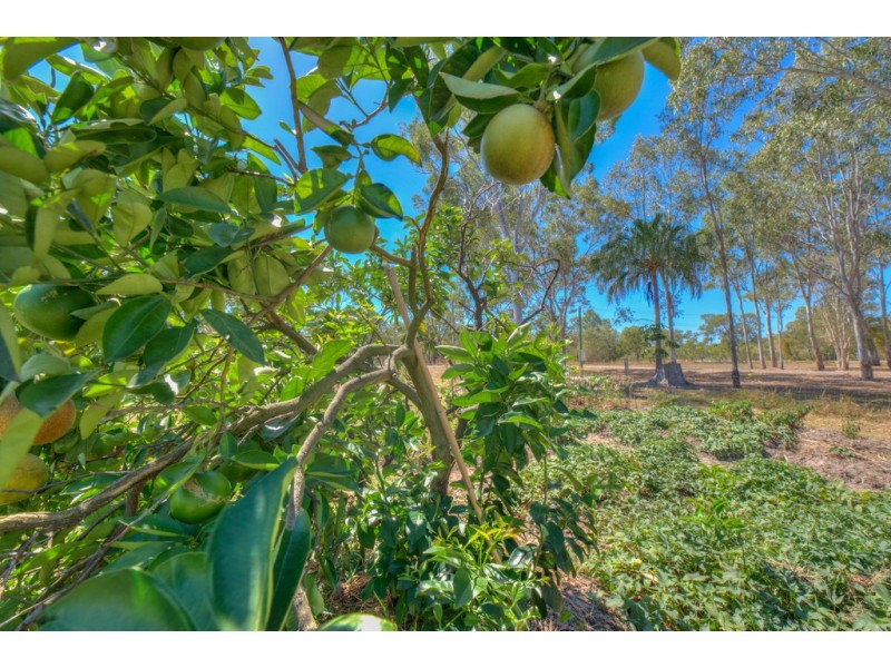 75 Lady Elliot Drive, Agnes Water QLD 4677