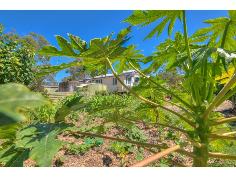 75 Lady Elliot Drive, Agnes Water QLD 4677