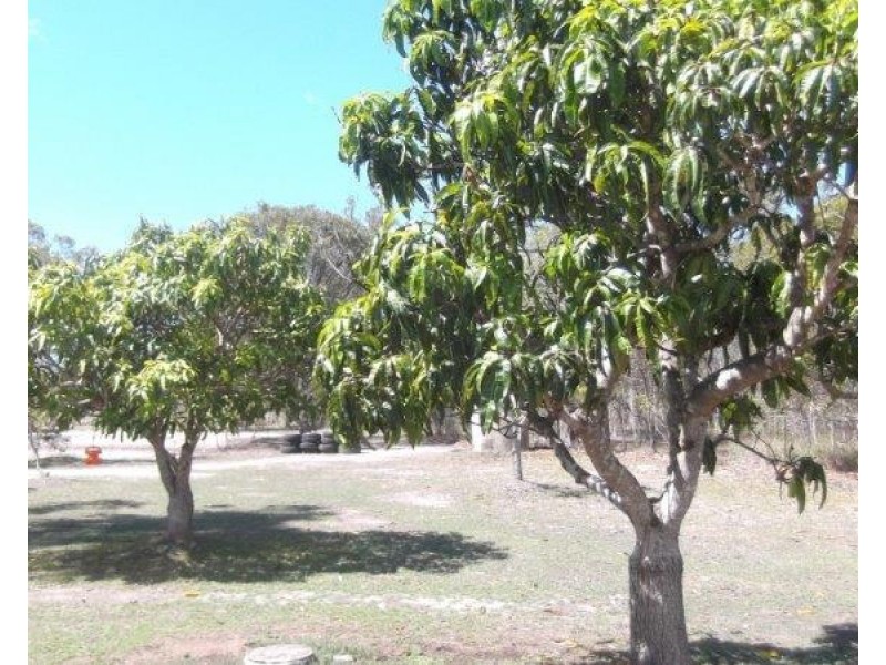 Agnes Water QLD 4677