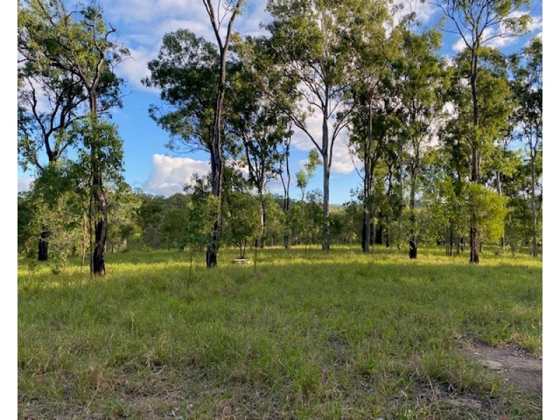 Lot 48 Lowmead Road, Lowmead QLD 4676