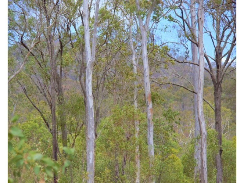 Lot 48 Lowmead Road, Lowmead QLD 4676