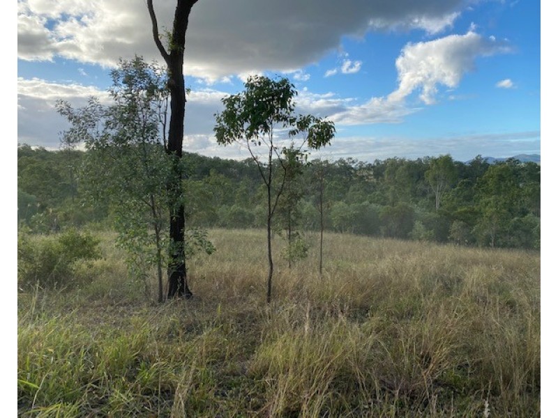 Lot 48 Lowmead Road, Lowmead QLD 4676