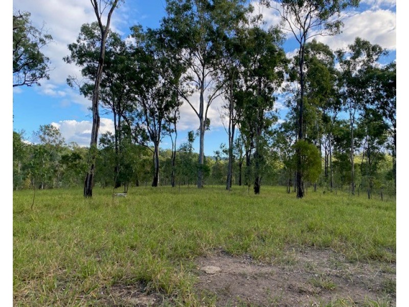 Lot 48 Lowmead Road, Lowmead QLD 4676