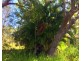 2079 Round Hill Road, Agnes Water QLD 4677