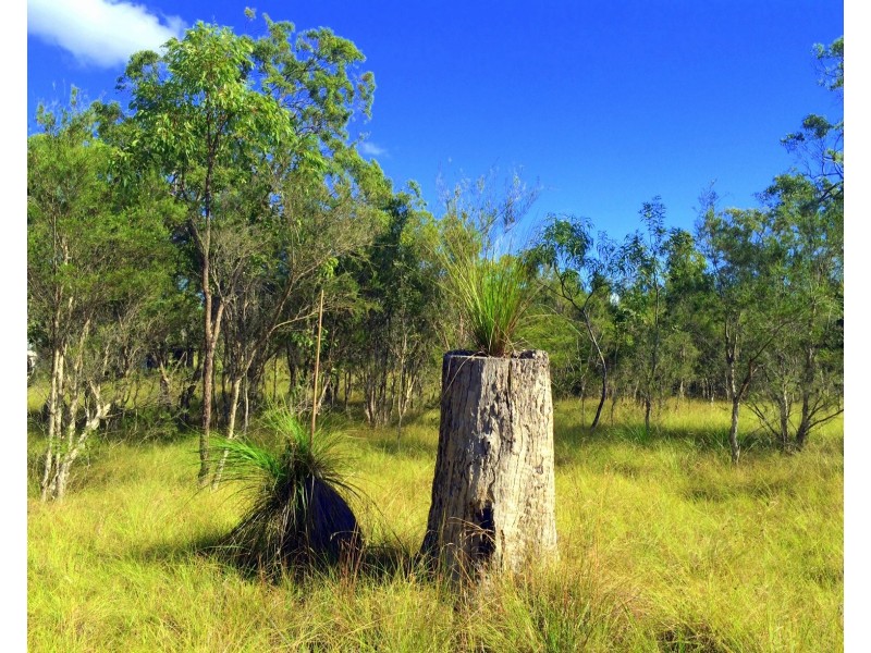 2079 Round Hill Road, Agnes Water QLD 4677