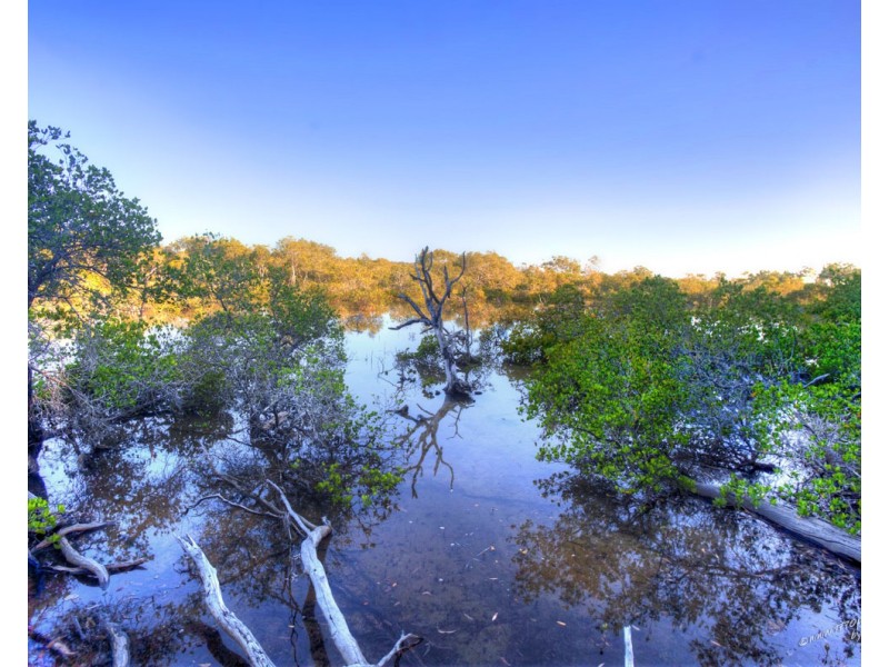 125 Masthead Drive, Agnes Water QLD 4677