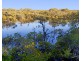 125 Masthead Drive, Agnes Water QLD 4677