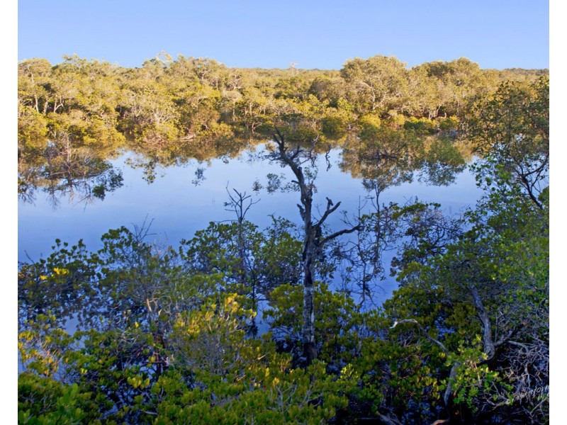 125 Masthead Drive, Agnes Water QLD 4677