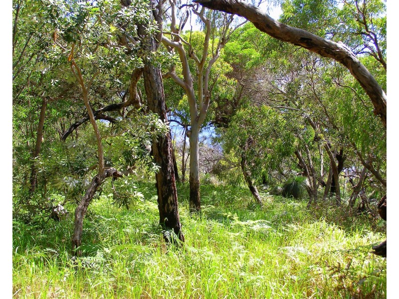 132 Bloodwood Avenue, Agnes Water QLD 4677