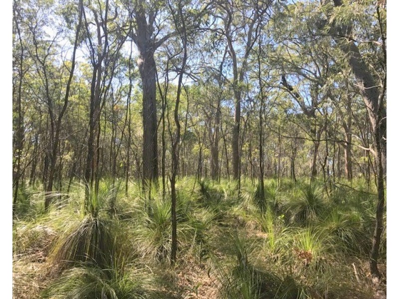 Agnes Water QLD 4677