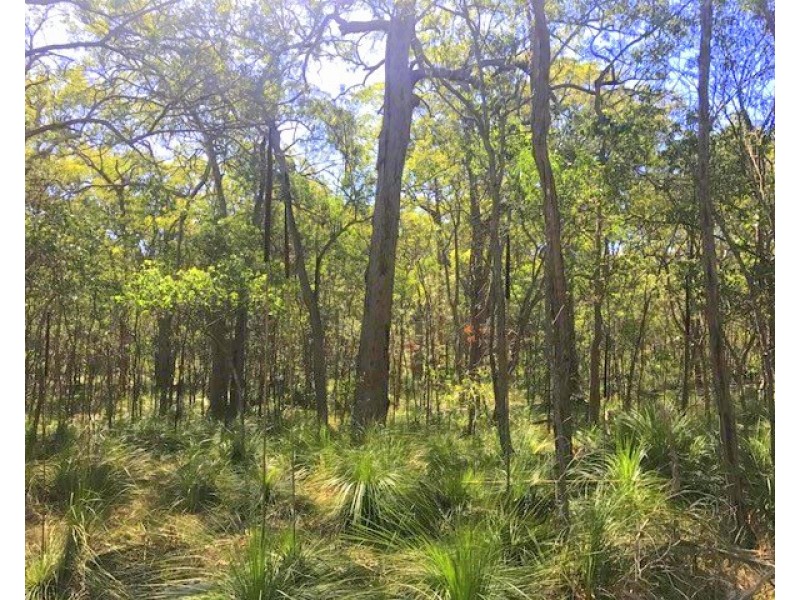 Agnes Water QLD 4677